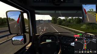 TruckersMP wrong way driver