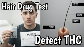 How to Pass ETG Urine & Hair Alcohol Test |