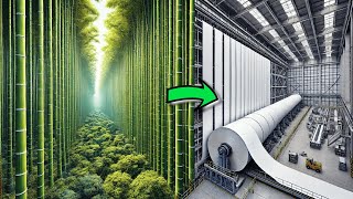 Bamboo Paper: A Sustainable Alternative to Wood-Based Paper?