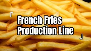 External Frying Machine for French Fries | Continuous Potato Frying System