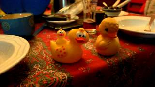 Dramatic Duck!