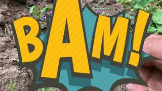 Metalldetektering och Svenskt myntfynd i silver från 1928.