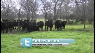Visit to "Cricle X Land & Cattle Co., Ltd" Ranch .
