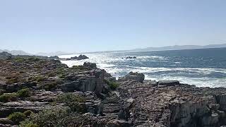 My Hermanus friends in South Africa