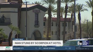 Guest says he was stung by scorpion at Las Vegas hotel 