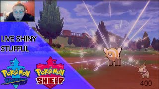 Shiny Stufful Whilst EV Training Randomly! - Pokemon Sword and Shield