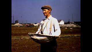 1961 Kylvötöitä Kyröössä