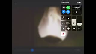 Criminal minds video 12