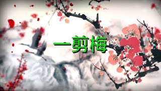 YPT19《一剪梅》心靈音樂｜休閒音樂｜佛教音樂｜禪修音樂｜太極拳背景音樂＞無痕加長珍藏版
