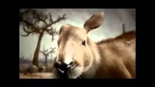 BARACK OBAMA FT TAZ STEREO NATION 'SAVING THE PLANET'