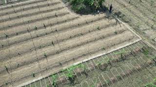 Natunn gram dron video