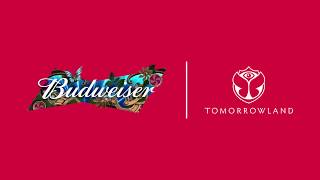 Budweiser & Tomorrowland