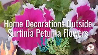 Home Decorations Outside Surfinia Petunia Flowers  #homedecoration  #petuniaflowers