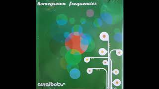 Auralbots - Diskobot