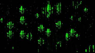 G2CSG- JUNGLE MUSIC VIDEO