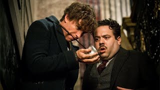 Dan Fogler ve Fantastických zvířatech • Warner Bros., Vertical Ent.