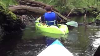 Going through trees