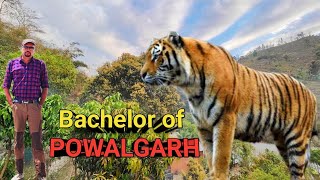Bachelor Of POWALGARH । Jim Corbett Tiger Hunting Story । Story Narration । Storyteller । Wildlife