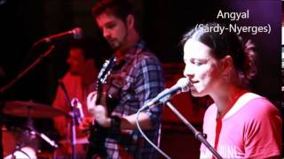 Papp-Sárdy NBB koncert -Páneurópai Piknik 2014.