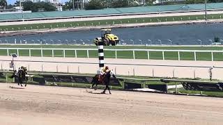 Grand Birdie, Victor Barboza Jr