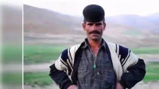 حرفهای سنگین یک شیر مرد لر