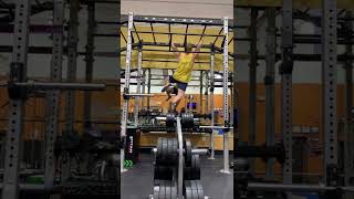 Monkey bars everyday Day 135: im a microchip off the ol' block