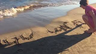 Tango Con*Fusion - Beach