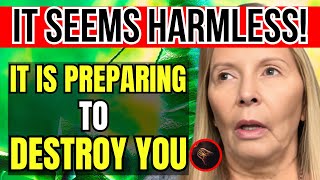 Divine Revelation Today – The Virgin Warns Luz de María: Soon EVERYONE Will Suffer