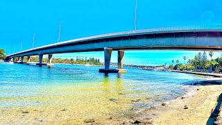 You Will Catch More Fish Under This Bridge!