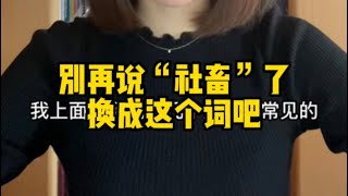 别再说“社畜”了，换成这个词吧 The Slang "Workaholic" Explained