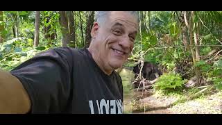 550 POUND BEAR WALKS UP BEHIND ME WITHIN 3 FEET BEFORE I NOTICE!