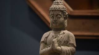 Official Season 1 Teaser