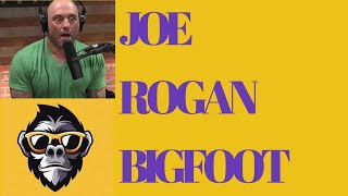 JOE ROGAN| BIGFOOT is REAL?!?!