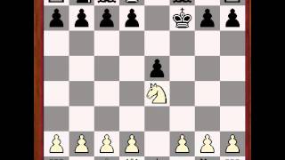 Vienna Trap