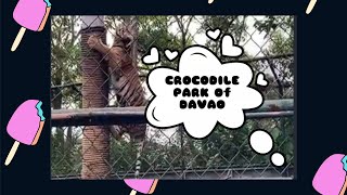 CROCODILE  PARK OF DAVAO