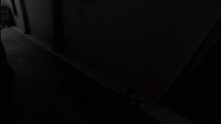 Pavlov Funny Moments