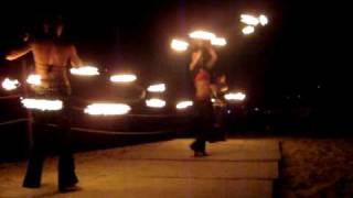 Nikol & TeamFire Performance Blue Parrot