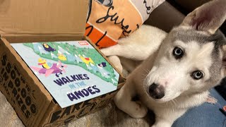 Bark Box unboxing August 2024 “ Walkies In The Andres “