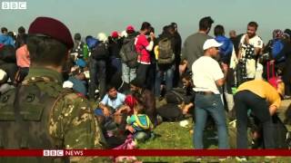 Migrants 'dumped' on Slovenia border by Croatia