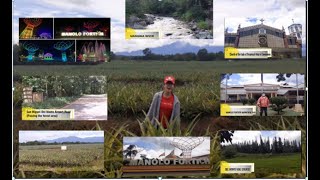 BEAUTIFUL AND RELAXING PLACES IN MANOLO FORTICH  I Del Monte Pineapple Plantation   I ROADTRIP.