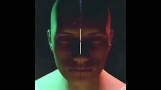 Danstock promo video
