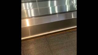 Mother Scolded the Boy on Escalator 2