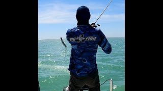 Flying High! 1M+ Barramundi
