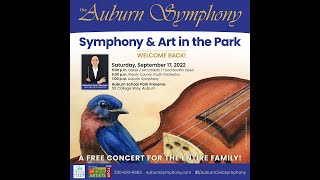 Symphony & Art in the Park