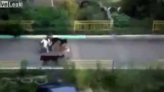 LiveLeak.com - K9 Orgy