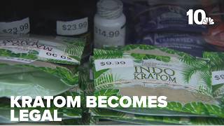 Kratom becomes legal in Rhode Island