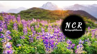 After Dark | One Wave | Best Background Music for Vlogs | NoCopyrightRecords [NCR Music]