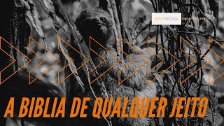 A BÍBLIA DE QUALQUER JEITO