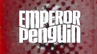 Emperor Penguin live at the Hope & Anchor