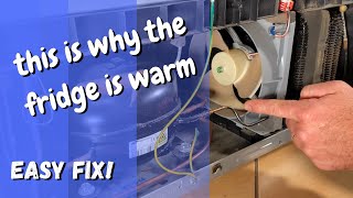 An easy maintenance clean to fridge condenser - Inspire DIY Kent Thomas